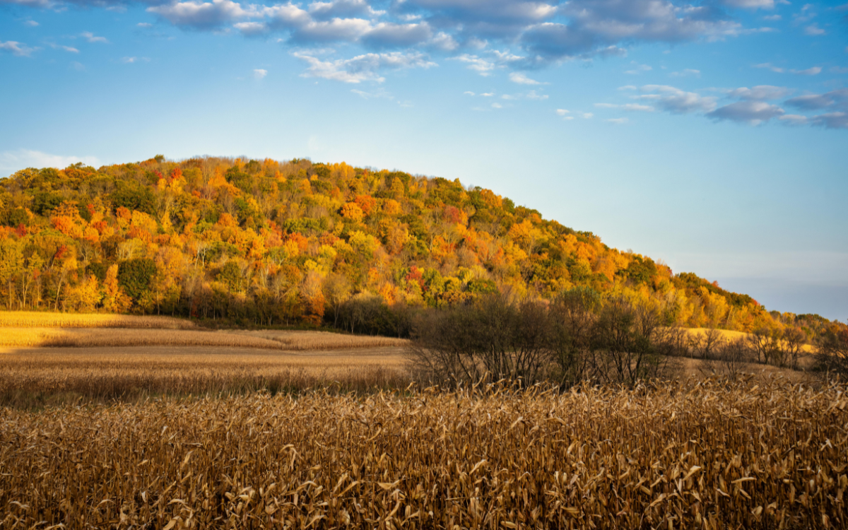 Why Fall is the Best Time to Buy Land in Mount Ayr, IA